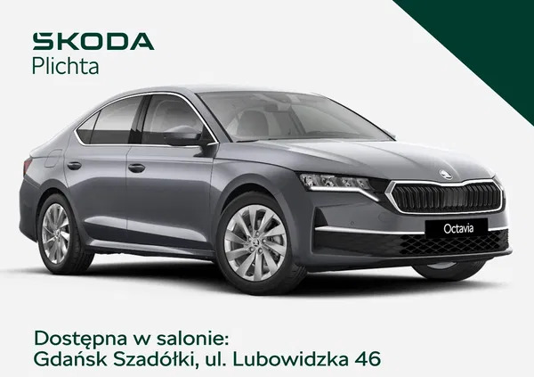 Skoda Octavia cena 149990 przebieg: 1, rok produkcji 2024 z Jutrosin małe 22